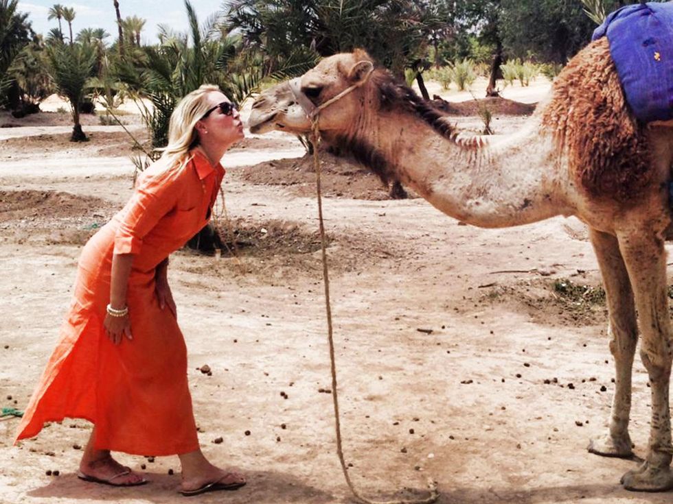 travel photos by Laurier Blanc June 2014 Marrakech Camel