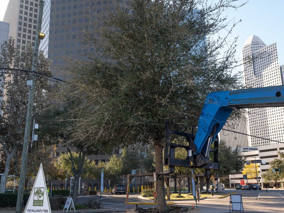 Trees For Houston One millionth tree planting in Houston