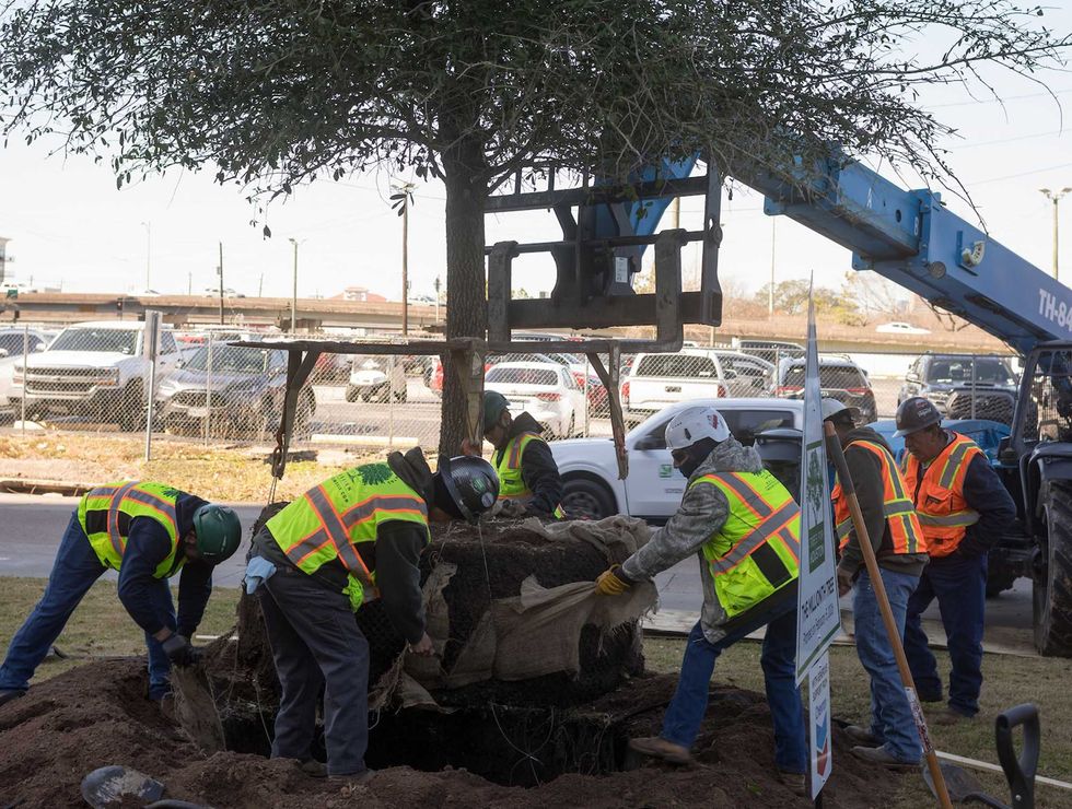 Trees For Houston One millionth tree planting in Houston