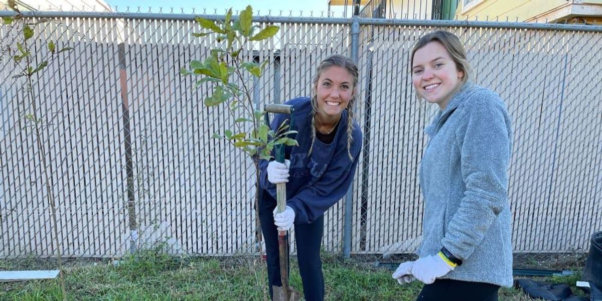 Blooming Houston group shatters record for most trees planted across