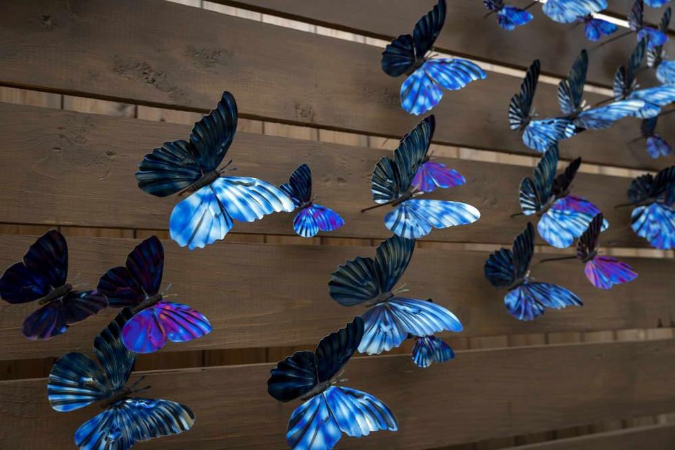 Trellis spa pools garden 2021