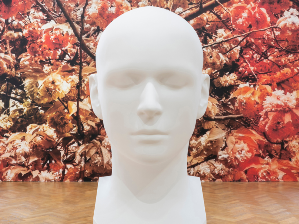 Trevor Paglen, The Standard Head, bronze, lacquer. 2020. Courtesy Pace Gallery.