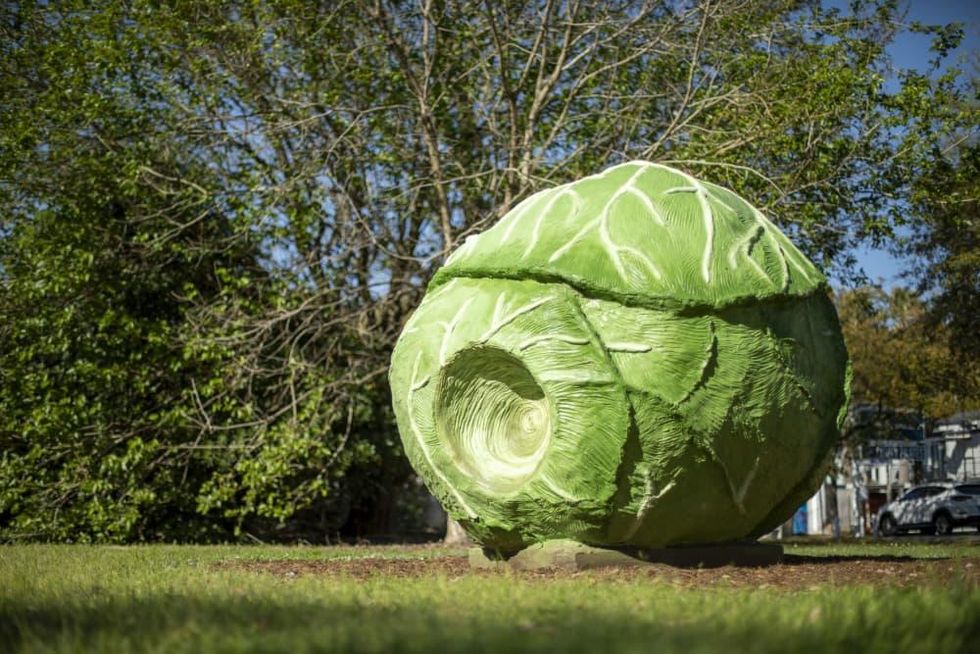 True North Heights sculptures Big Cabbage - Bill Davenport