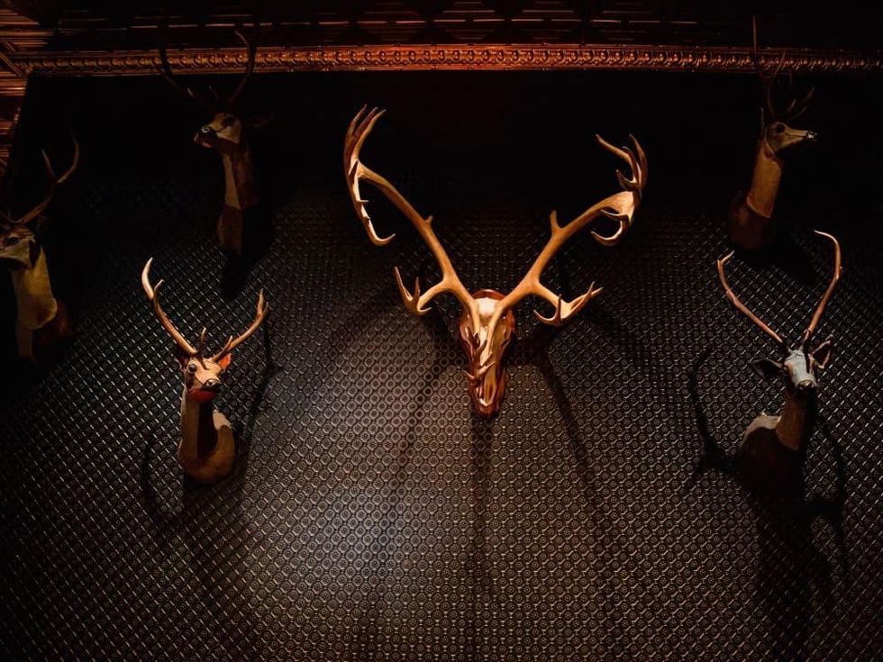 Turner's animal mounts