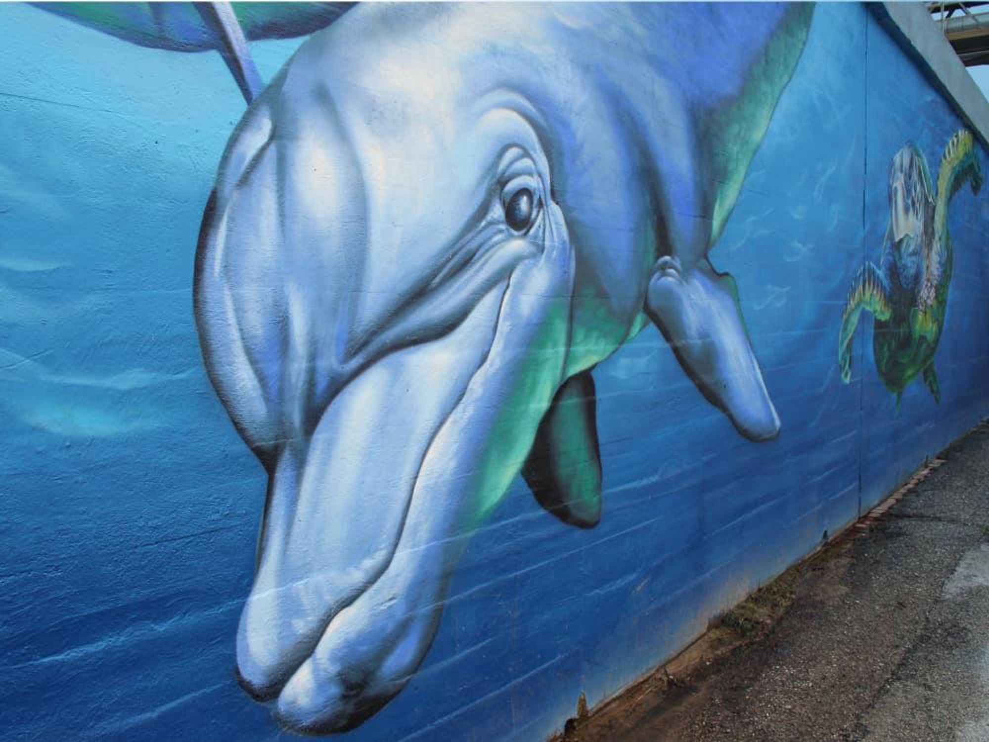 Turtle Soup downtown houston art mural dolphin