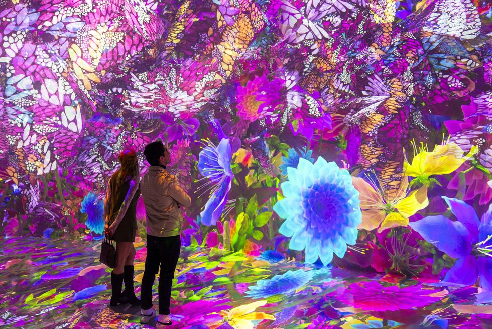 \u200bArtechouse presents "Blooming Worlds"