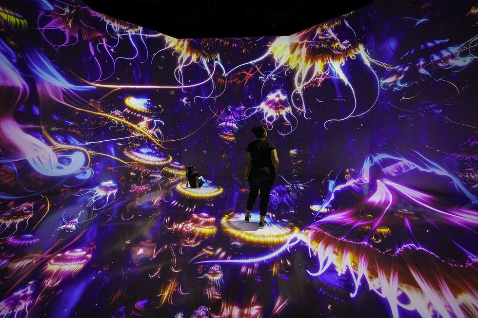 \u200bArtechouse presents \u201cTwilight Zone: Hidden Wonders of the Ocean\u201d