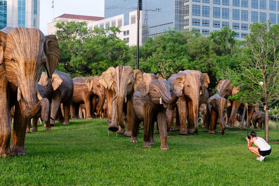 \u200bThe "Great Elephant Migration" herd arrives in Hermann park.
