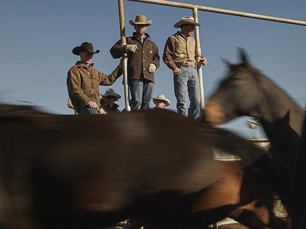 Unbranded documentary, horses, cowboys, January 2013