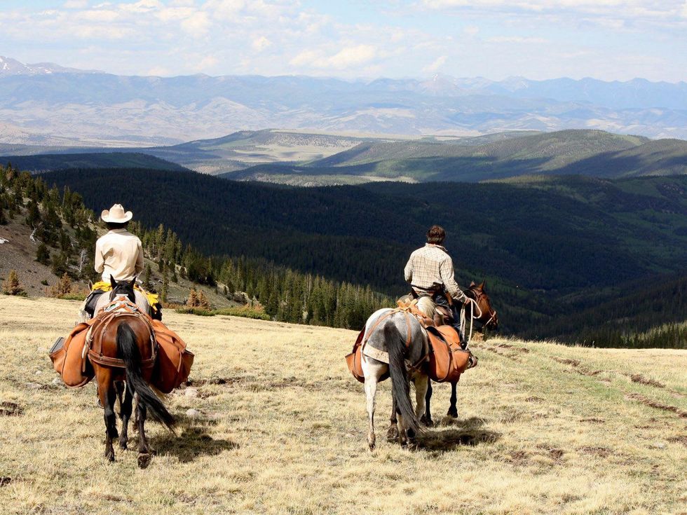 Modern adventurers Four Texas A&M grads set out to ride wild mustangs