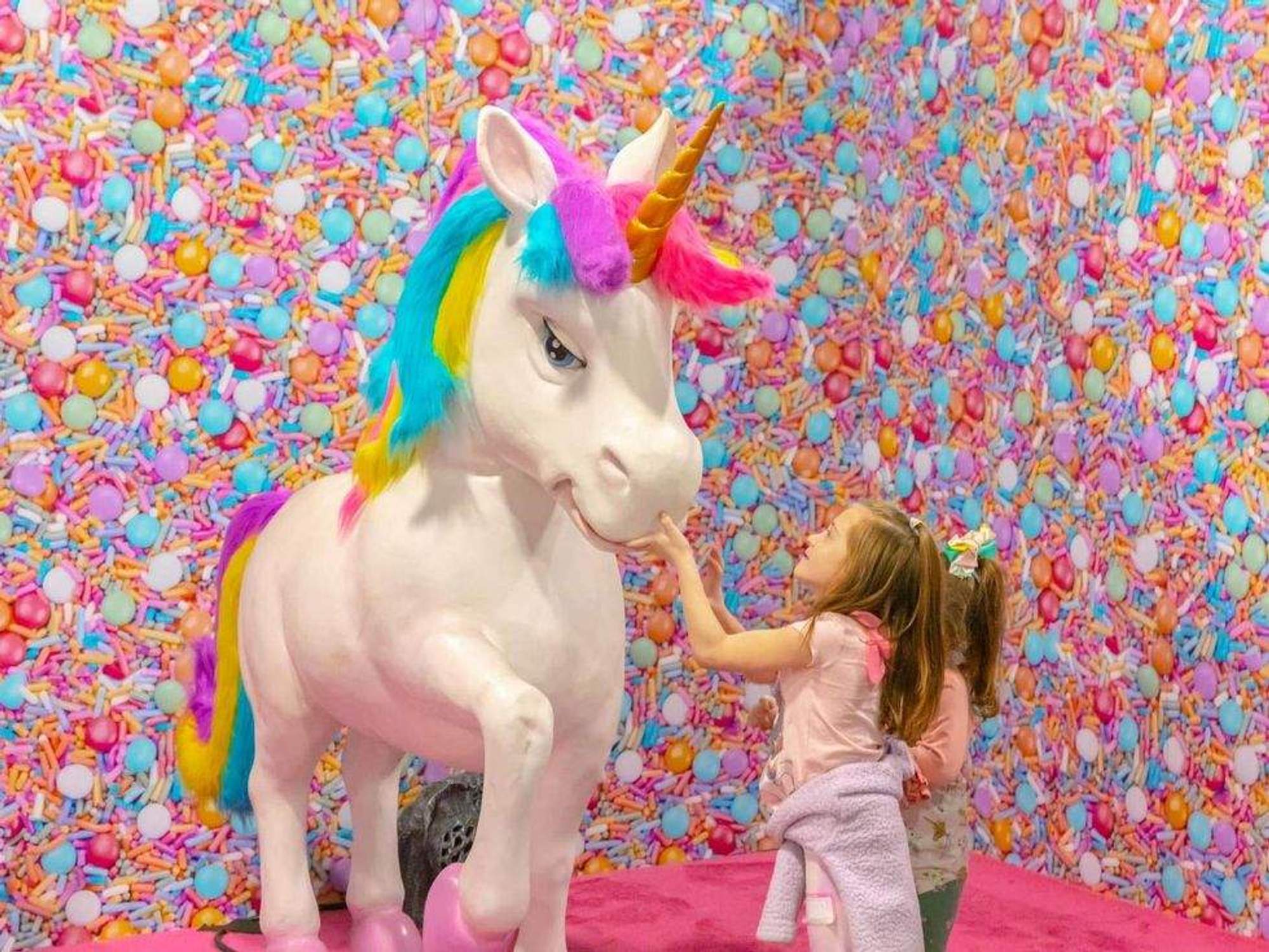 Unicorn On Tour : : Sport & outdoor Unicorn On Tour : : Sport & outdoor