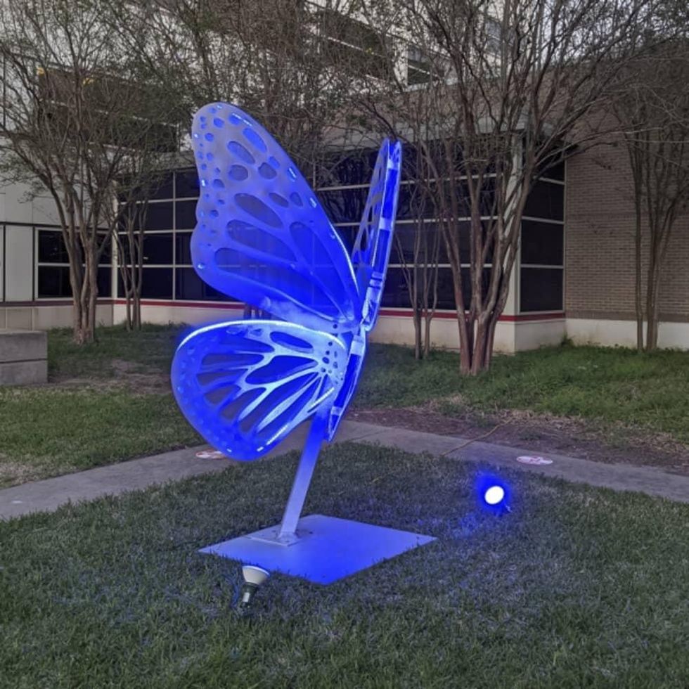 University of Houston: Love Motels for Insects: Monarch Variation