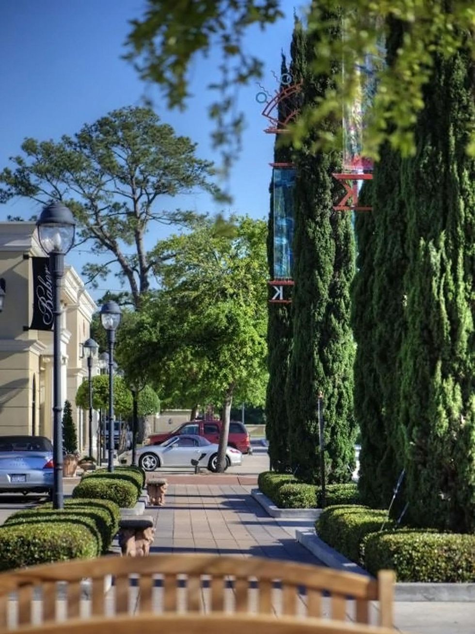Uptown Park tall trees and sidewalk
