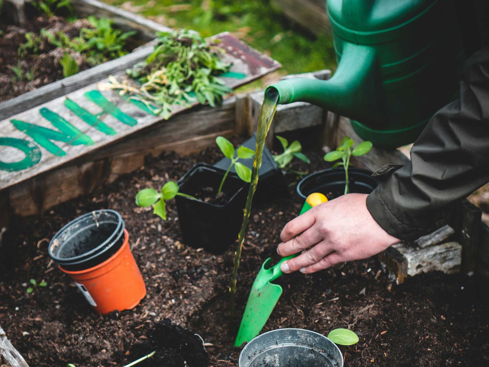 Urban gardening