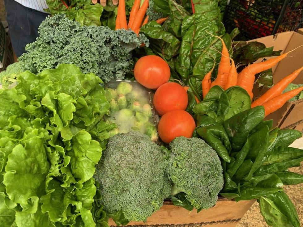 Urban Harvest produce