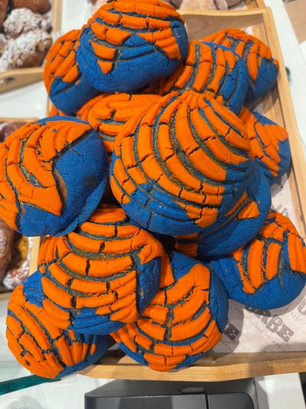 Urbe Astros concchas