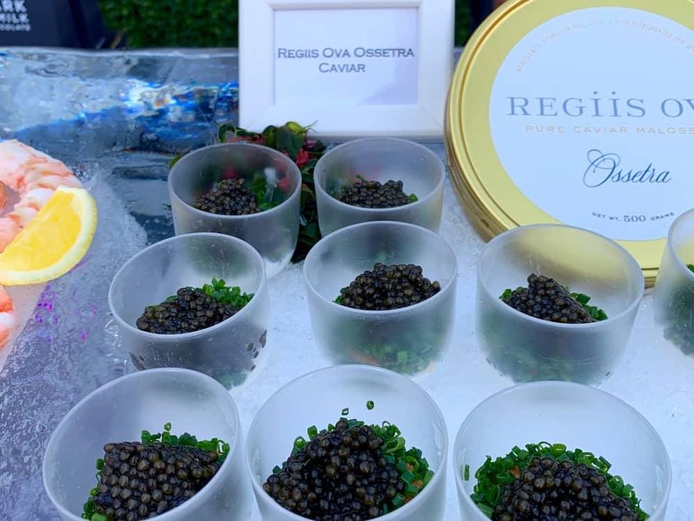 Valobra grand opening party caviar