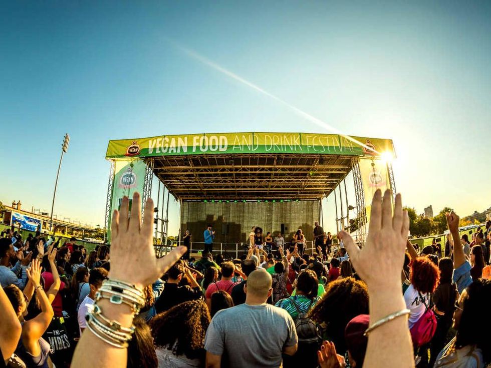 Vegandale Festival concert shot