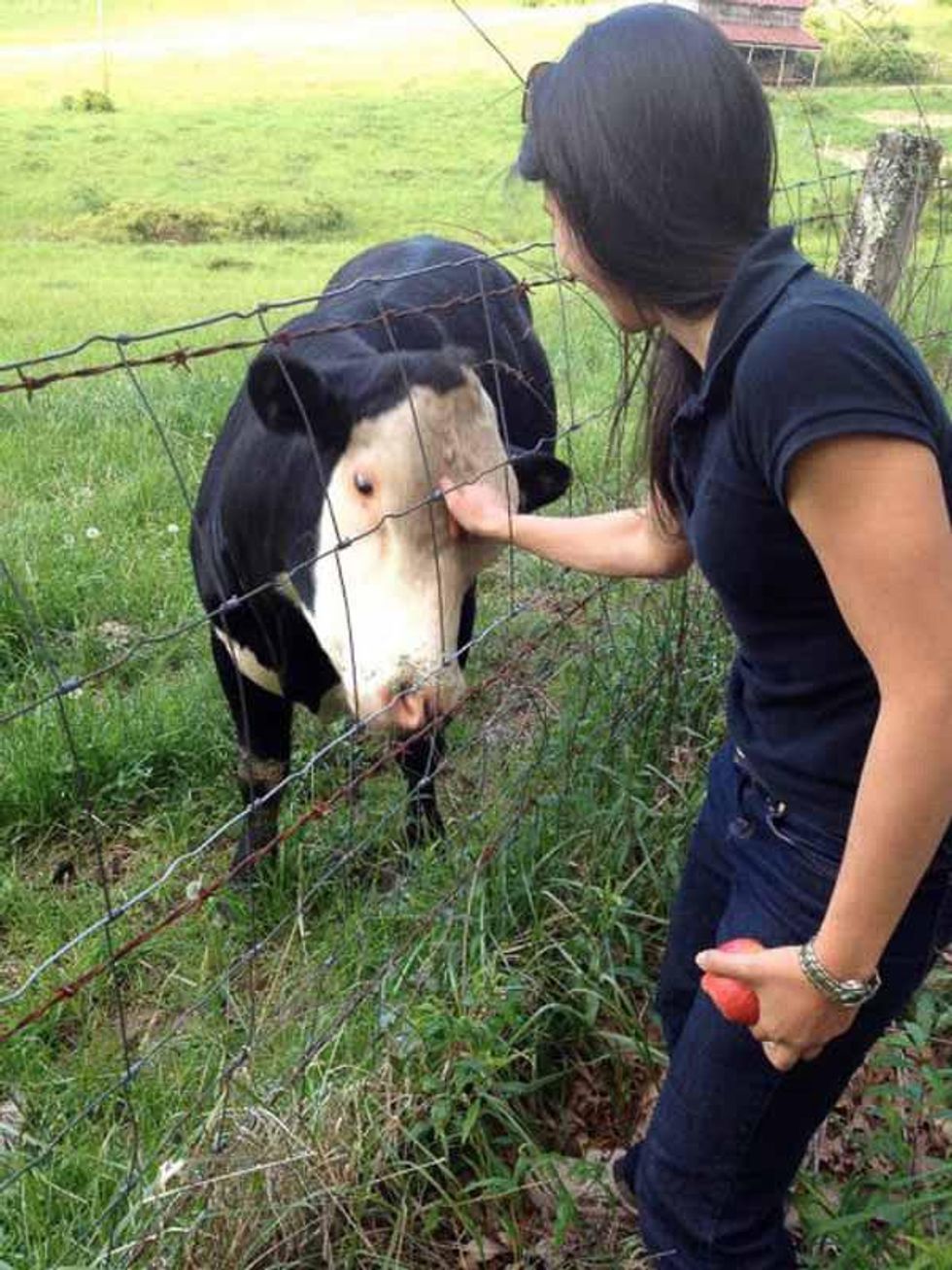 Victoria Moon Erickson, vegan blogger, January 2013, with cow