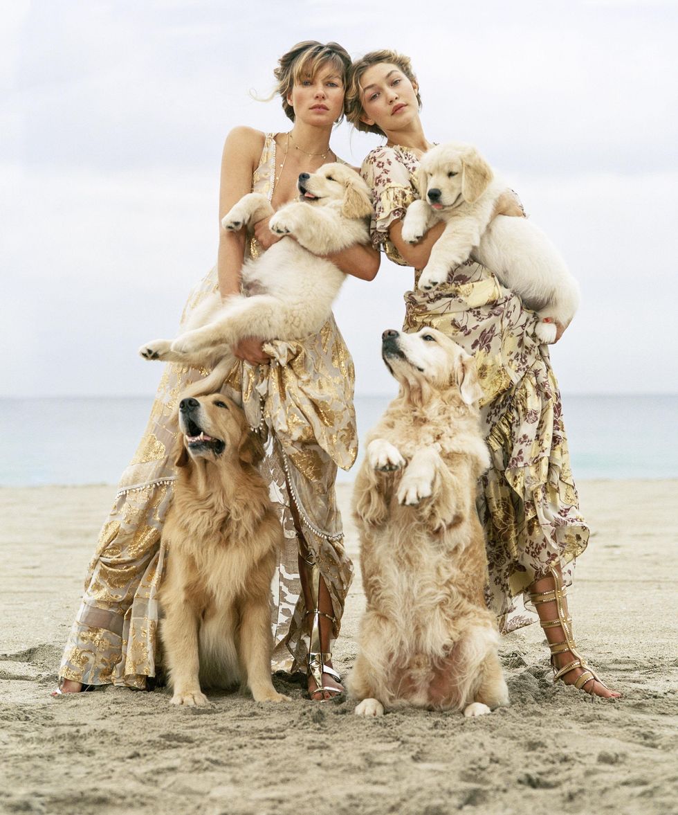Vogue spring fashion layout featuring dogs