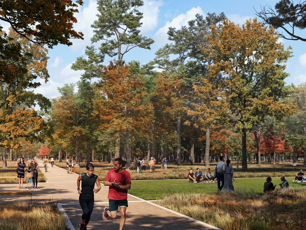 Walking trail rendering Memorial Groves