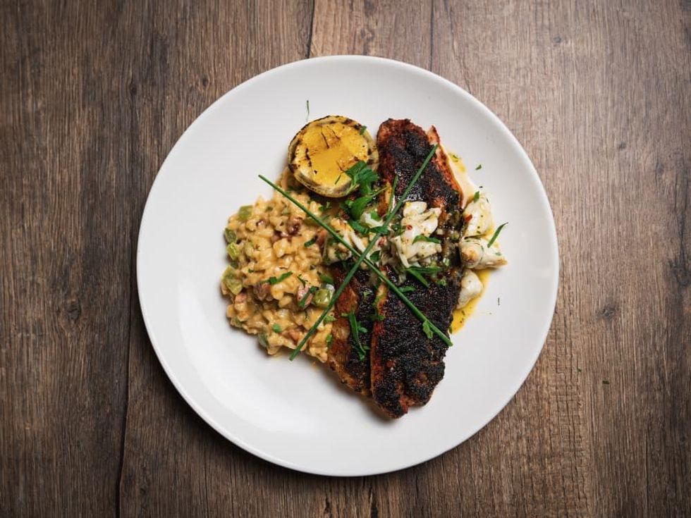 Warwick snapper orleans