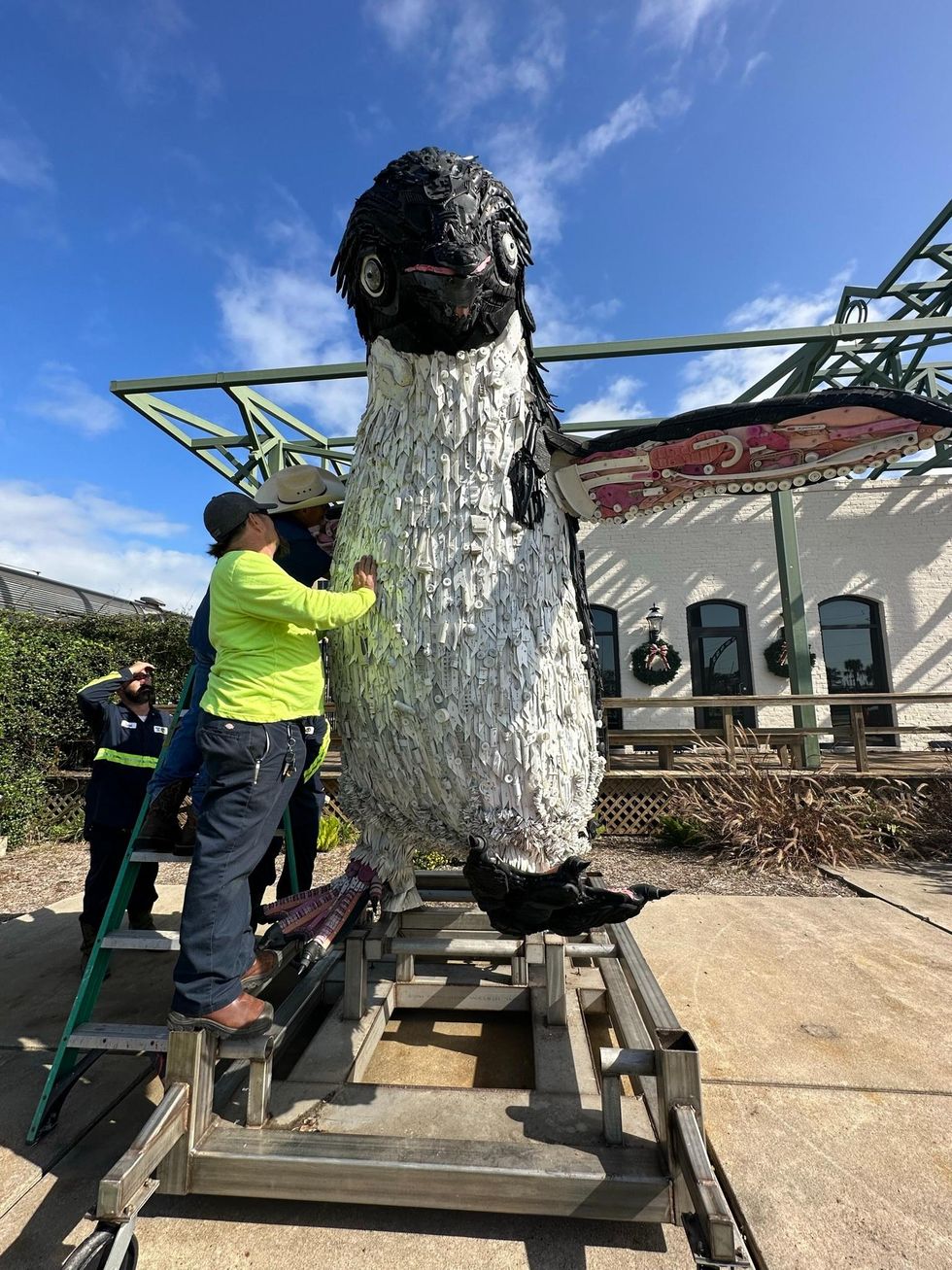 Washed Ashore Galveston