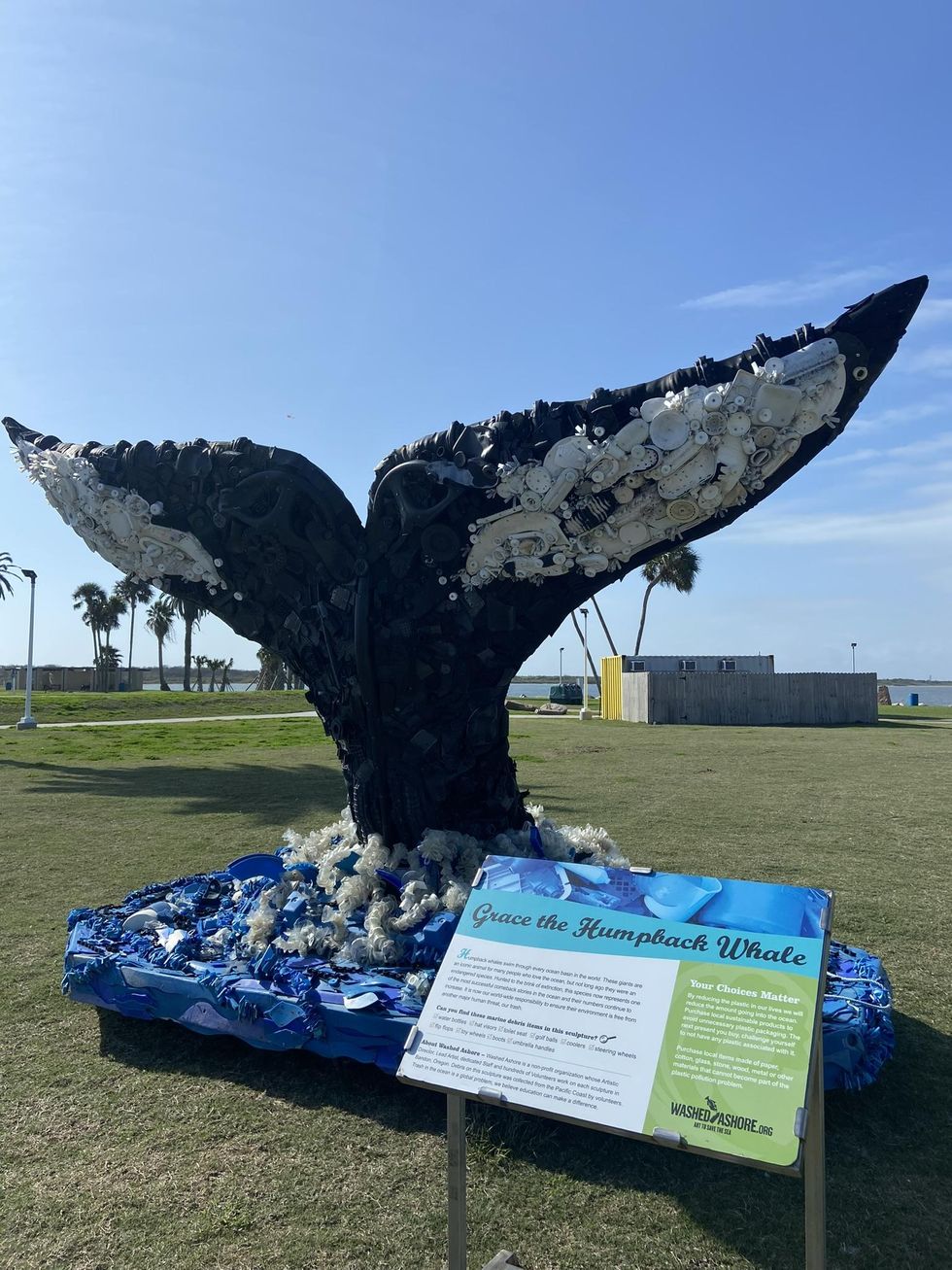 Washed Ashore Galveston