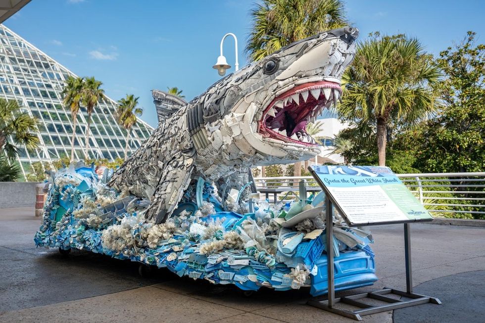 Washed Ashore Galveston