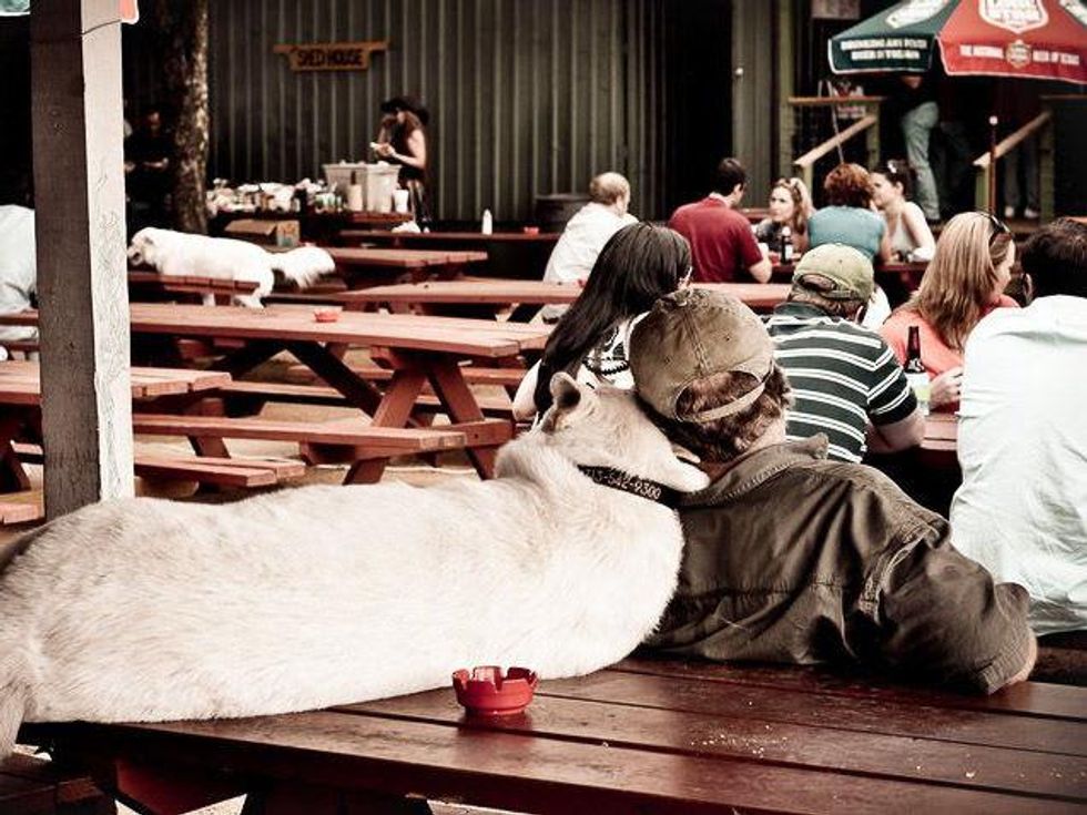 West Alabama Ice House, patio, bar, January 2013