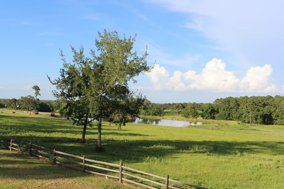 West Sandy Creek Winery pond fence