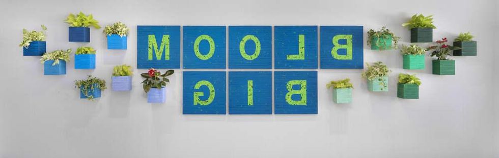 Westin Houston Medical Center: Angela Fabbri, Bloom Big