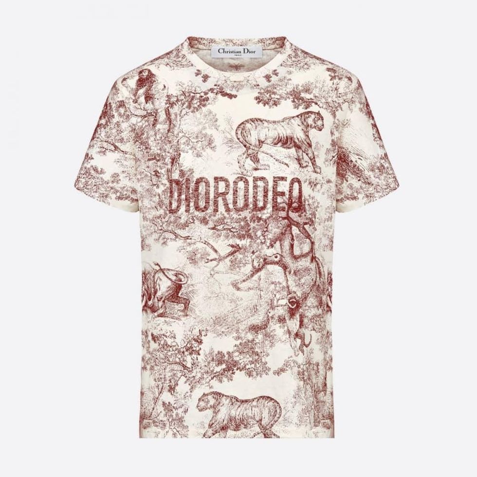 Where to shop DioRodeo shirt