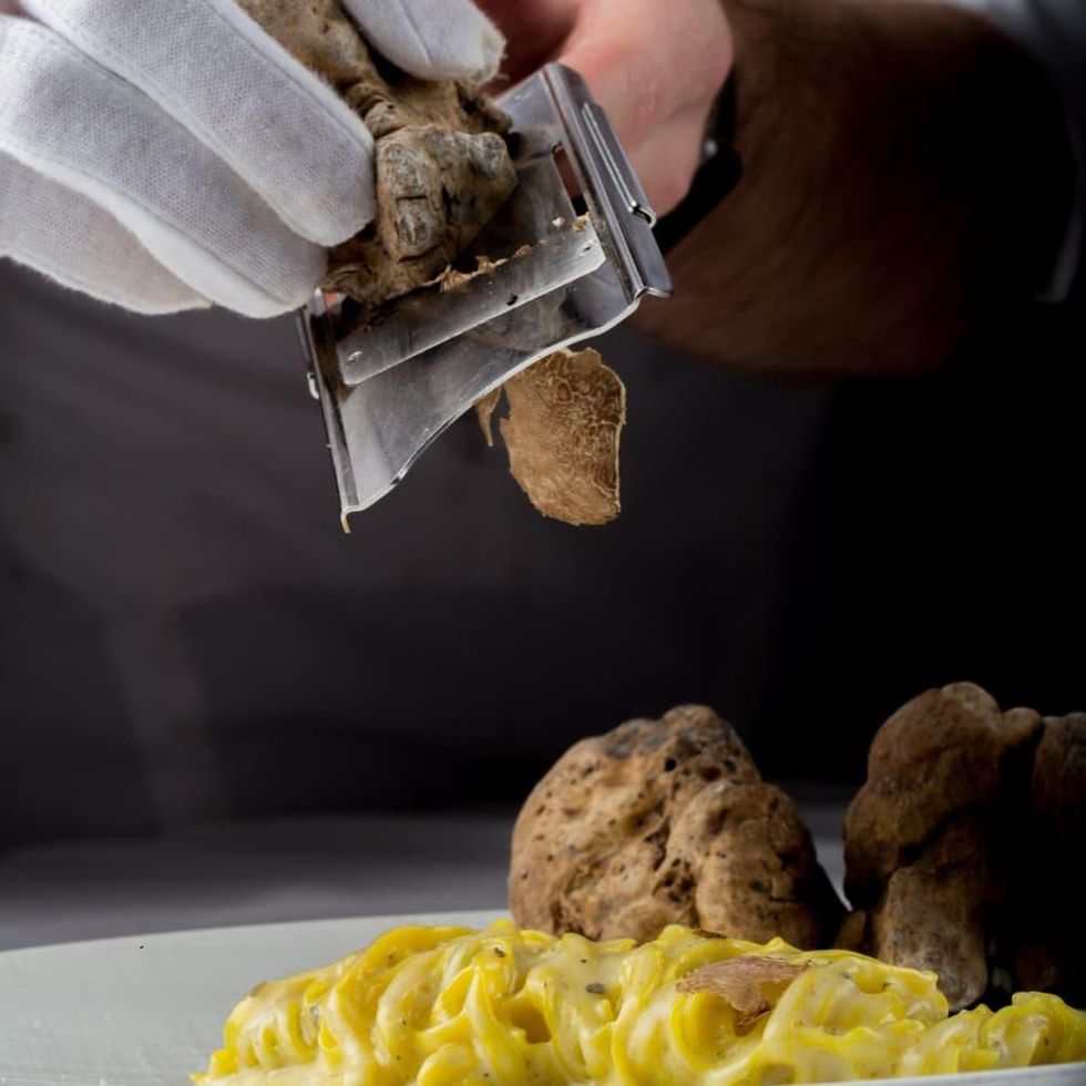 White truffle talglarini