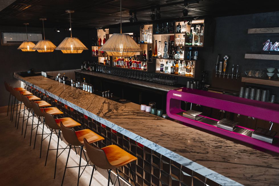 Budding Houston CBD bar and restaurant gets wild in Montrose with cool