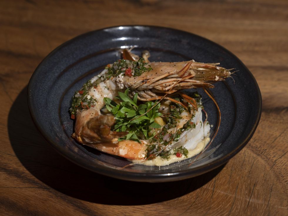 Wild Montrose wild shrimp