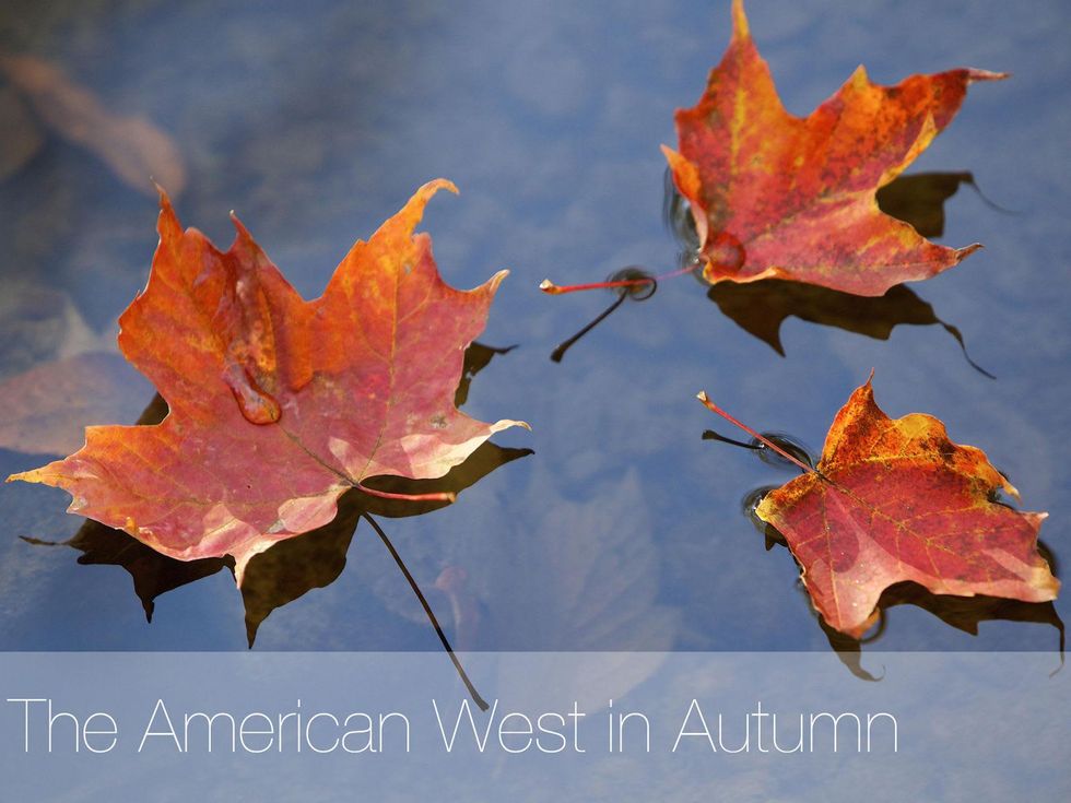 William Denson photography kickstarter cover