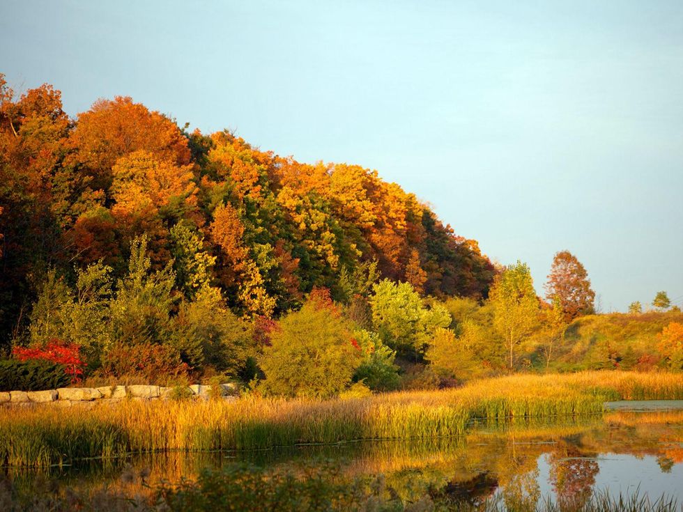 William Denson photography Mountain of Color