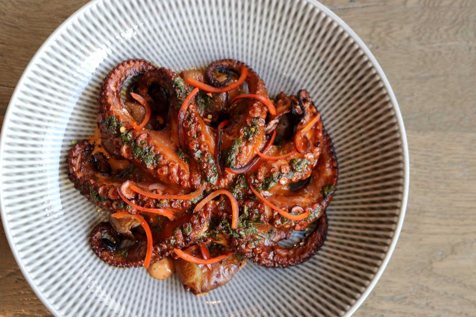 Zaranda restaurant octopus