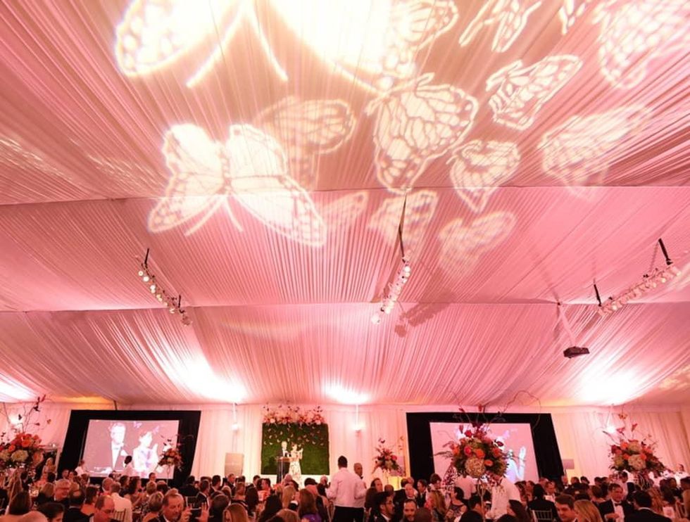 Zoo Ball 4/2016 decor