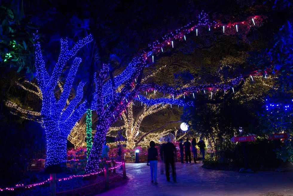 Zoo Lights Houston Zoo 2014